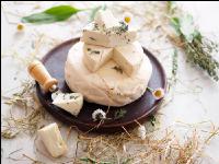 Ziegenkäse 2