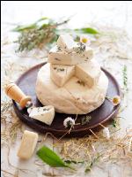Ziegenkäse 1