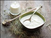 Joghurt 