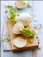 Knollenfenchel 5