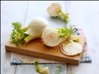 Knollenfenchel 4