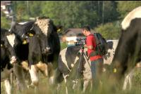 Agrarfoto- Videoproduktionen