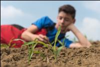 Landwirtschaftsschüler 16