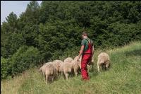 Tierhaltung Praxisunterricht 3