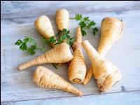 Pastinake 2