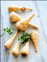 Pastinake 1