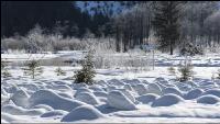 Almsee Eis und Schnee 27