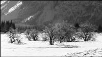 Almsee Eis und Schnee 26