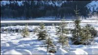 Almsee Eis und Schnee 25