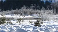 Almsee Eis und Schnee 24