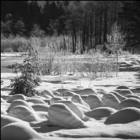 Almsee Eis und Schnee 23