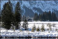 Almsee Eis und Schnee 20
