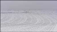 Weizen Schnee Februar 2