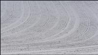 Weizen Schnee Februar 1