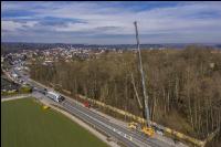 Spezialholzfällung 8