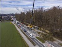 Spezialholzfällung 2