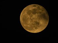 Vollmond Februar 1
