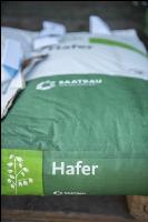 Hafer Saatgut 4