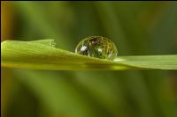 Wasserperlen 5