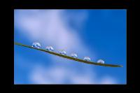 Wasserperlen 4