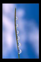 Wasserperlen 3