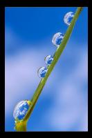 Wasserperlen 1