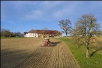 Erbsen Mulchsaat 14