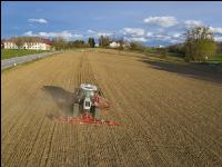 Erbsen Mulchsaat 13