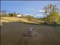 Erbsen Mulchsaat 8