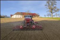 Erbsen Mulchsaat 7