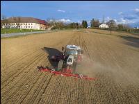 Erbsen Mulchsaat 6