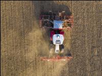 Erbsen Mulchsaat 4