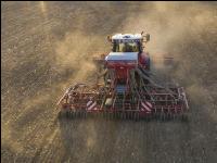 Erbsen Mulchsaat 3