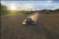 Erbsen Mulchsaat 2