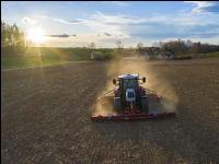 Erbsen Mulchsaat 1