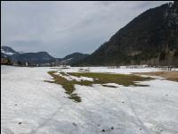 Wiese nach Winter 5