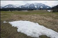 Wiese nach Winter 1