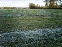Silieren mit Frost 3