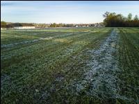Silieren mit Frost 2