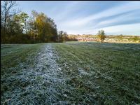 Silieren mit Frost 1