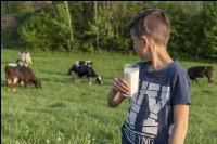 Trinkmilch 38