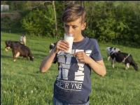Trinkmilch 37