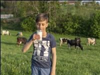 Trinkmilch 36