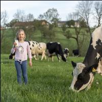 Trinkmilch 33