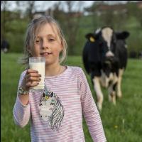 Trinkmilch 28