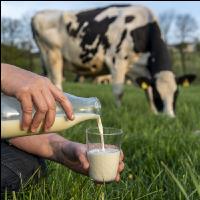 Trinkmilch 27