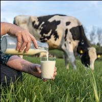 Trinkmilch 26