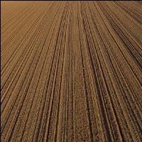 Mais 3 Blatt 31