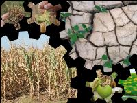 Klimawandel 13