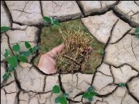 Klimawandel 9